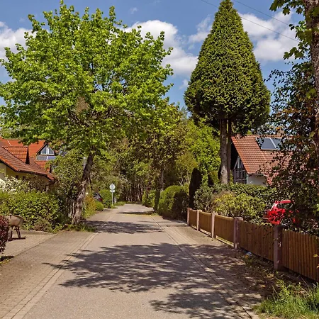 Haus Ella Apartment Konigsfeld im Schwarzwald