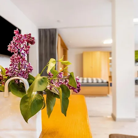 Haus Ella Apartamento